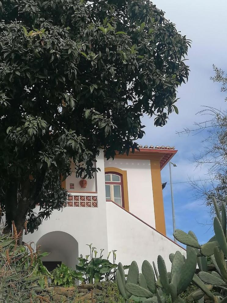 Quinta Do Americano Sardoal Ngoại thất bức ảnh